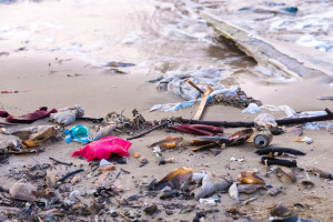 Meloti and Isabel Wijsen: Bye, Bye Plastic Bags on Bali