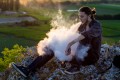 E-Cigarettes And Vaping: The New Teen Addiction Concern!
